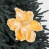 Elizabeth Giant Magnolia - Gold by Christmas Tree Malaysia