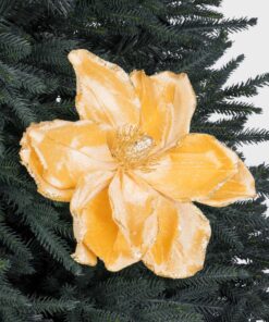 Elizabeth Giant Magnolia - Gold