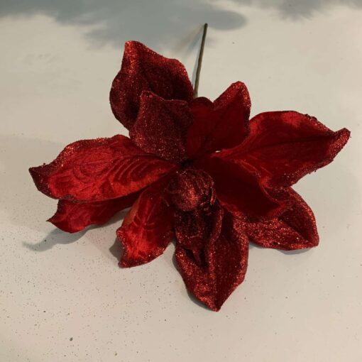 Elizabeth Giant Magnolia - Red (1) by Christmas Tree Malaysia