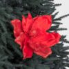 Elizabeth Giant Magnolia - Red by Christmas Tree Malaysia