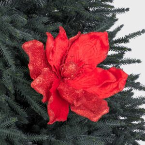 Elizabeth Giant Magnolia - Red by Christmas Tree Malaysia