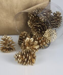 Mini Pine Cones - Gold dimensions (1) by Christmas Tree Malaysia