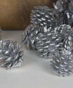 Mini Pine Cones – Silver dimensions (1) by Christmas Tree Malaysia