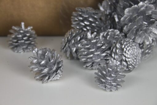Mini Pine Cones – Silver dimensions (1) by Christmas Tree Malaysia