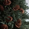 Pine Cones (6 pcs) by Christmas Tree Malaysia