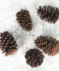 Pine Cones (6 pcs) dimensions (2) by Christmas Tree Malaysia