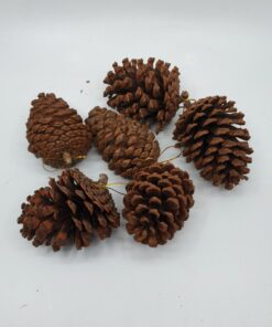 Pine Cones (6 pcs) dimensions (3) by Christmas Tree Malaysia