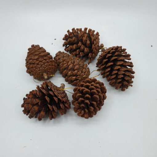 Pine Cones (6 pcs) dimensions (3) by Christmas Tree Malaysia