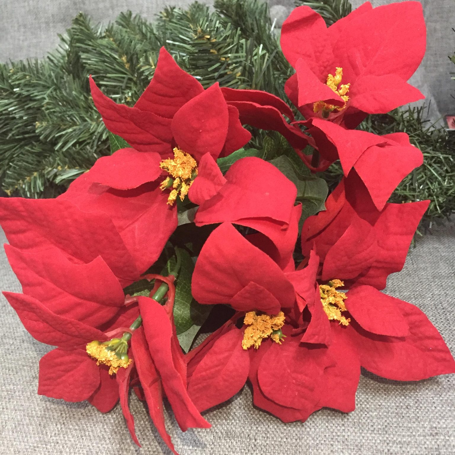 Poinsettia Bunch - Red dimensions (2) by Christmas Tree Malaysia