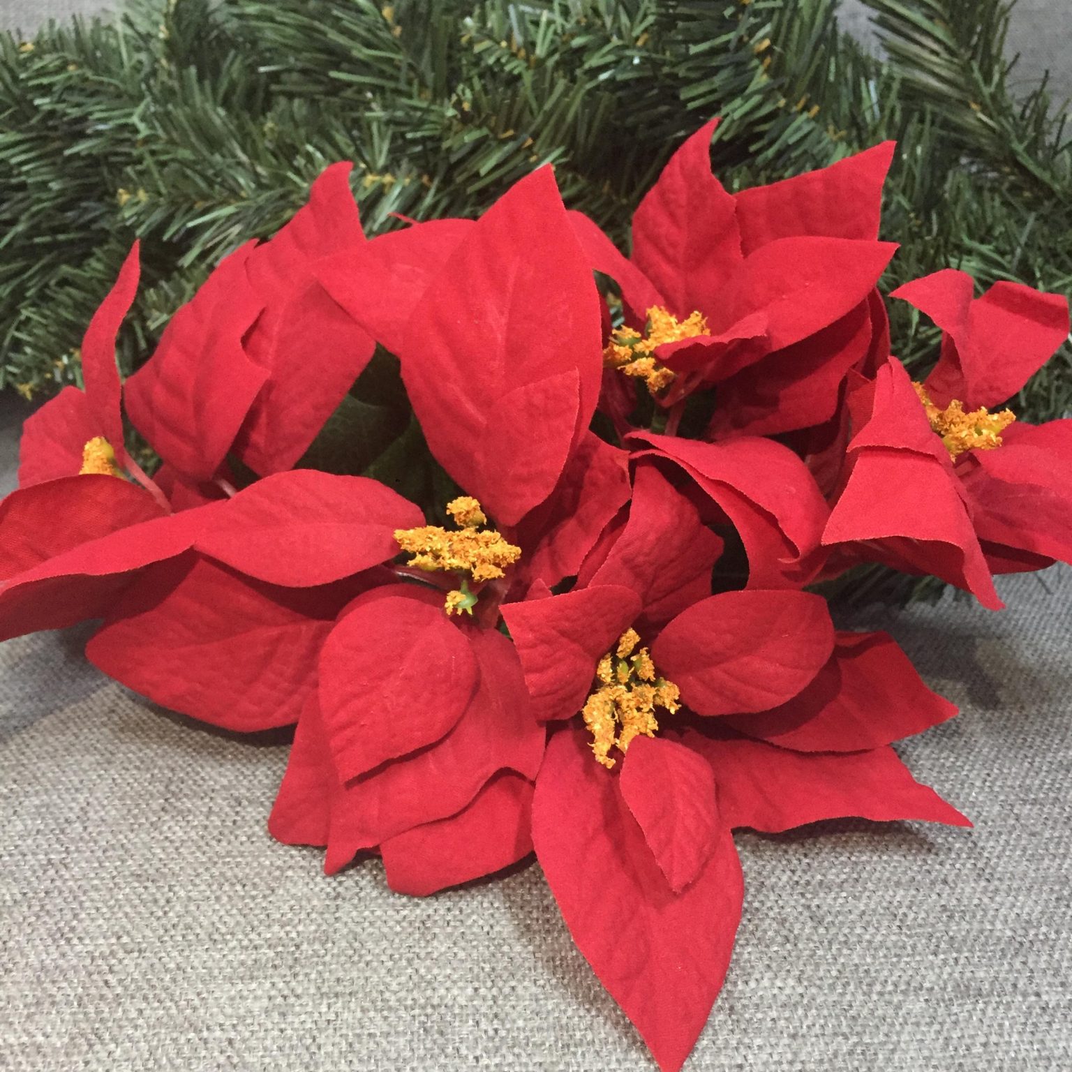 Poinsettia Bunch - Red dimensions (3) by Christmas Tree Malaysia