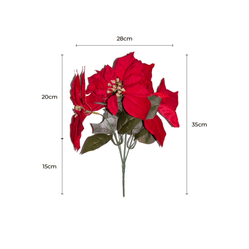 Poinsettia Bunch - Red dimensions (4) by Christmas Tree Malaysia