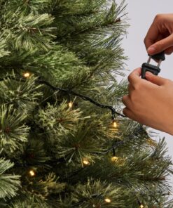 Christmas Tree Lights